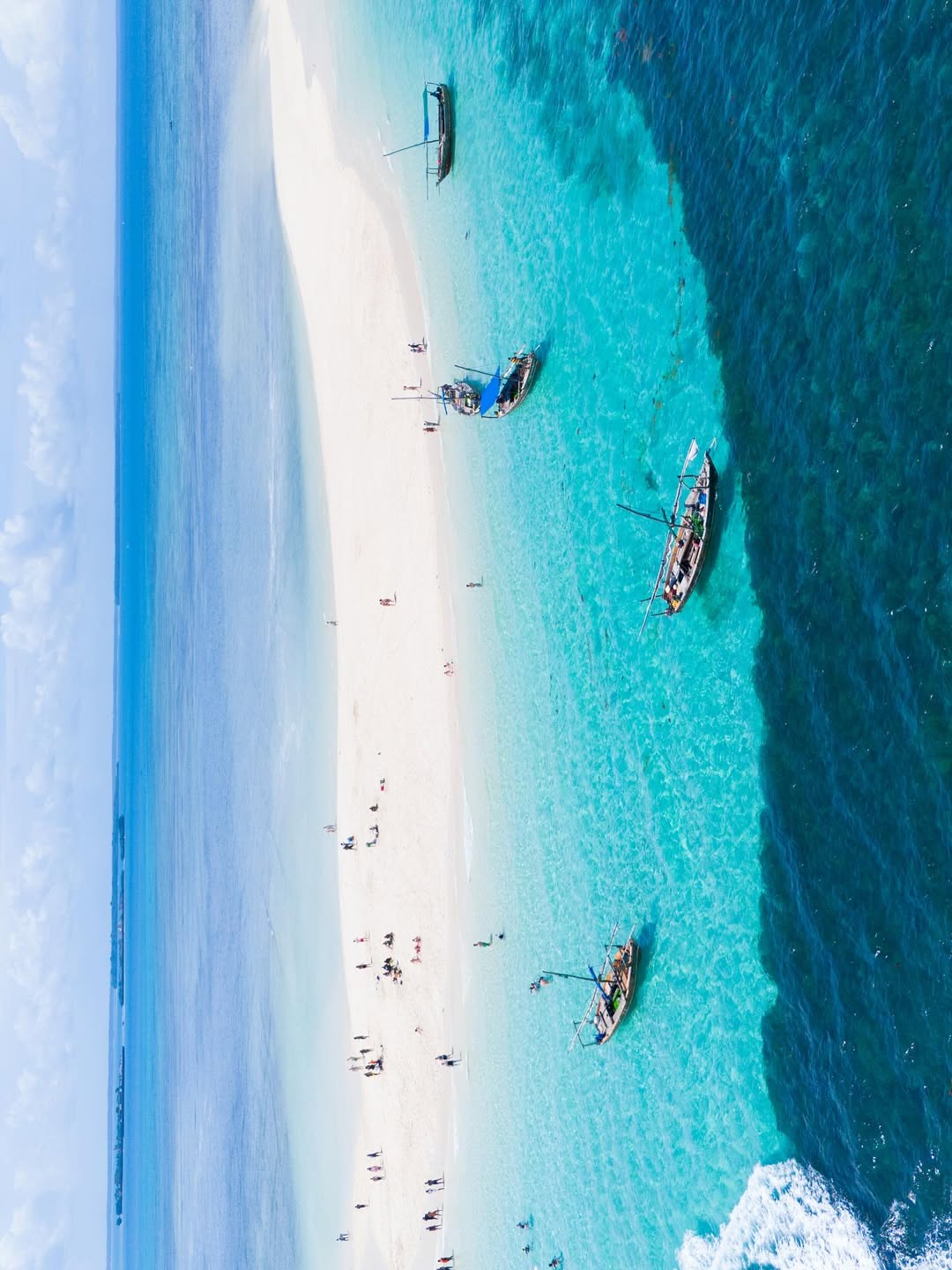 Safari Blue Snorkeling